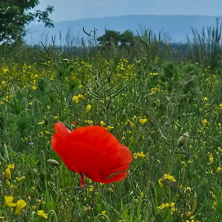 Διαμέρισμα Dom Mlynsko *