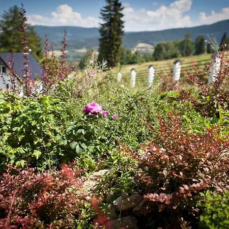 Dom Mlynsko Διαμέρισμα *