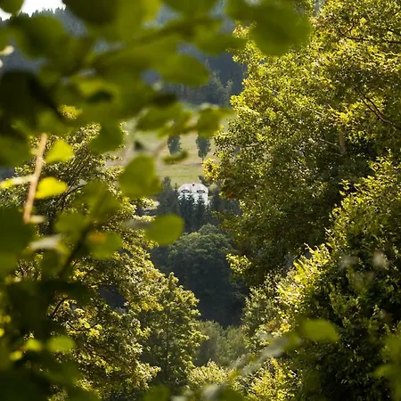 Dom Mlynsko * Kletno