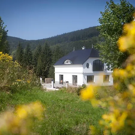 Διαμέρισμα Dom Mlynsko *