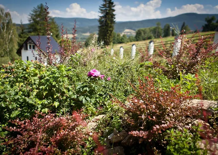 Dom Mlynsko Lägenhet *