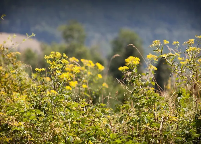 Lägenhet Dom Mlynsko Kletno