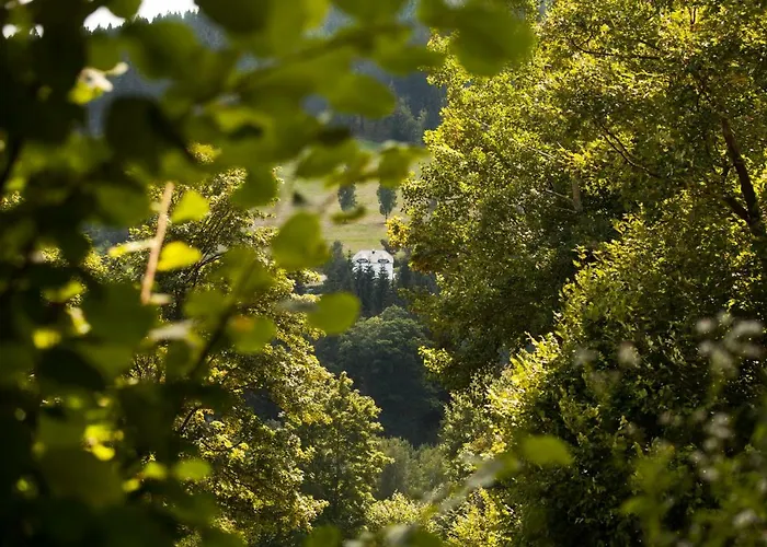 Dom Mlynsko * Kletno